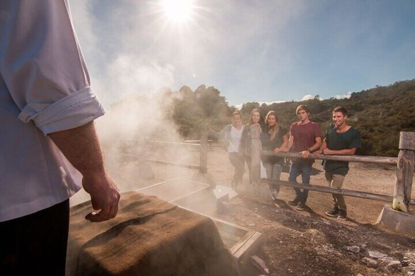 Rotorua Geothermal Experience Private Tour