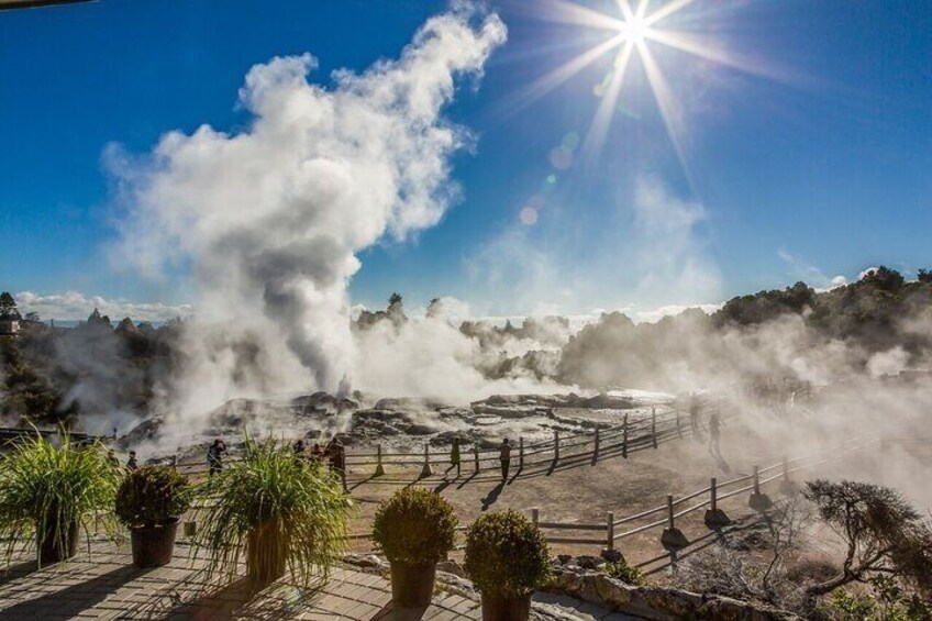 Waitomo Glow Worm Caves & Te Puia (Rotorua) Private Tour