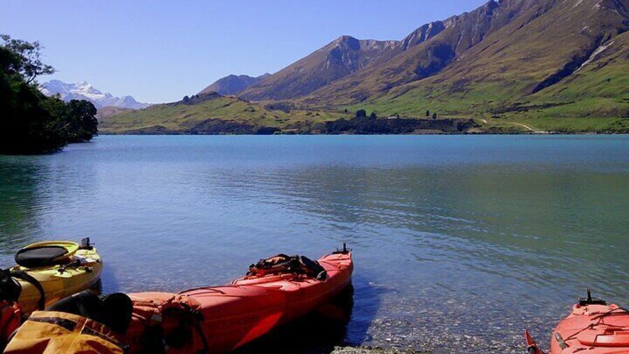 Glenorchy Island Safari