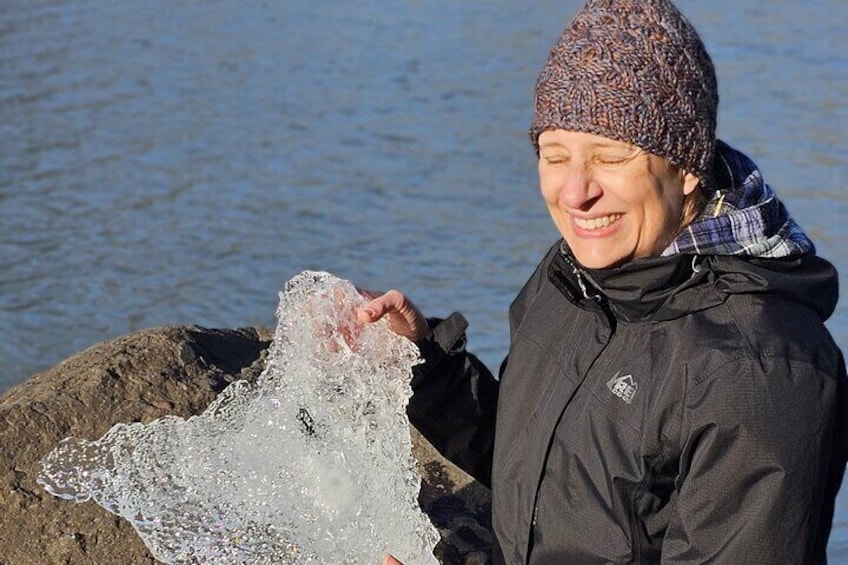 Private South Coast Guided Day Tour with Glacier Walk