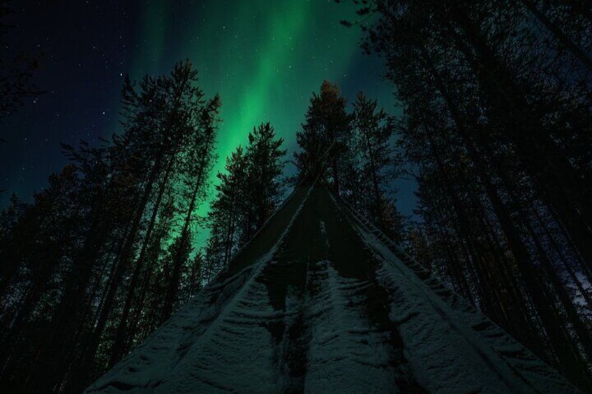 Aurora Hunting with Reindeer