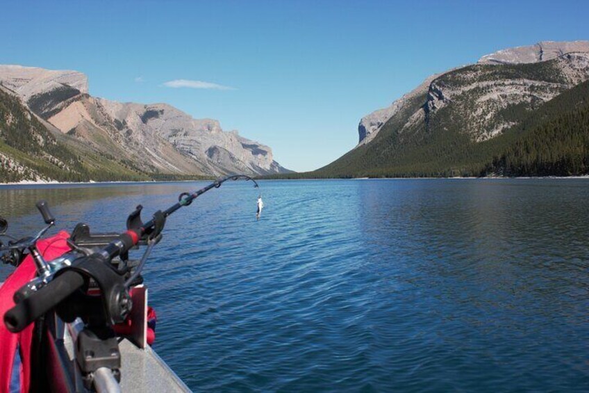 Banff Fishing on Lake Minnewanka