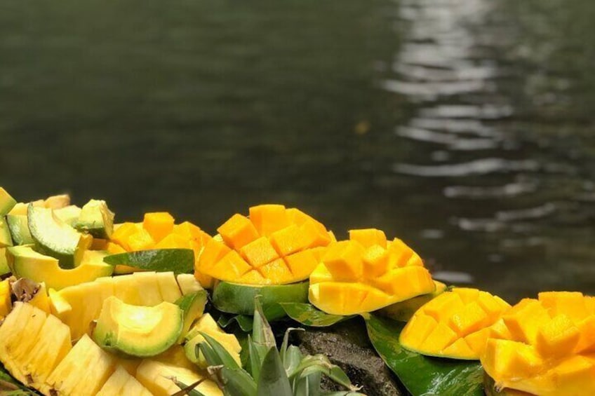 FRESHLY CUT TROPICAL FRUITS IN THE FOREST