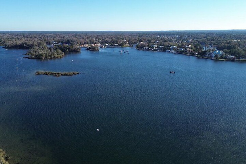 Private Eco Tour in Kings Bay Crystal River Florida