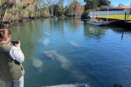 Private Eco Tour in Kings Bay Crystal River Florida