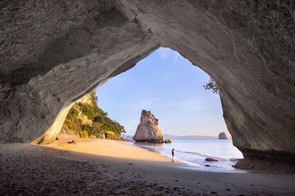 EXCLUSIVE PRIVATE TOUR : Cathedral Cove & Hot water beach - 1 Day