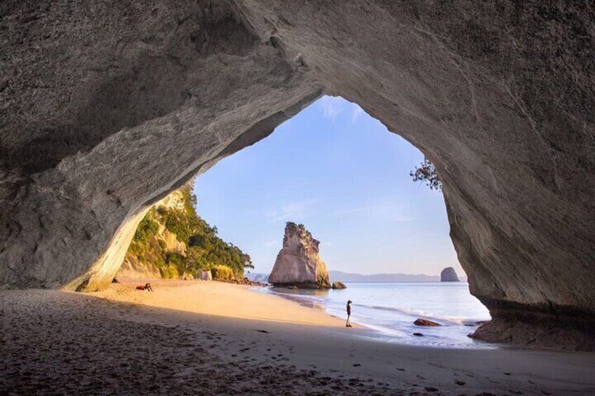 Private Cathedral Cove and Coromandel Tour from Auckland