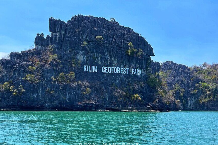 3 Hour Mangrove Tour with Bonus Snorkeling Experience