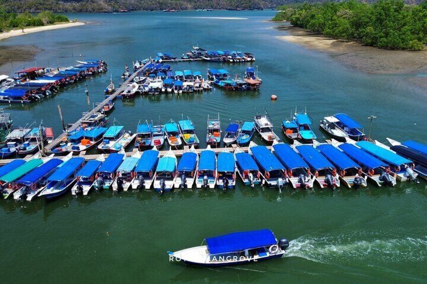 3 Hour Mangrove Tour with Bonus Snorkeling Experience