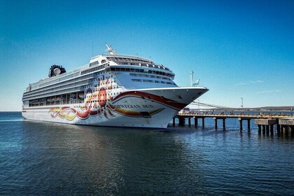 Punta Tombo Shore Tour for NCL Star Passengers in Puerto Madryn