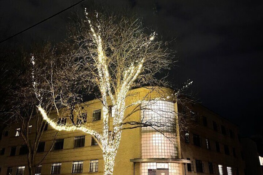 Holiday Lights in Cap Hill 