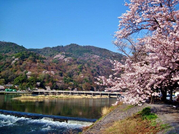 Osaka: Kyoto Scenic Day & Night Bus Tour with dinner (Kobe Beef)