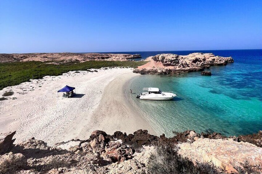 Snorkeling in Daymaniat Island