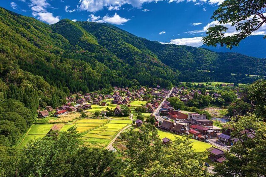 Shirakawago & Takayama All Must-Sees Private Chauffeur Tour (Kanazawa DEP.)