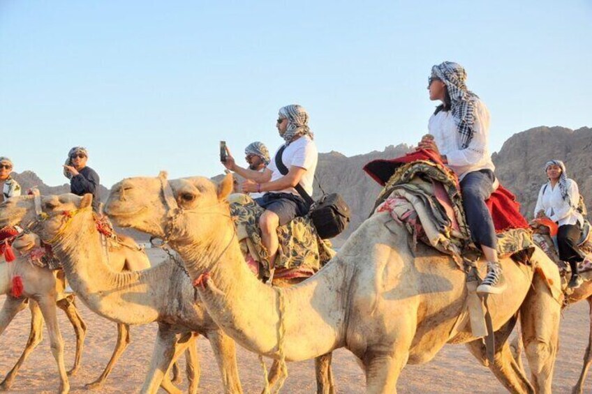 Stargazing, ATV Quad Camel, and BBQ Dinner from Sharm Elsheikh