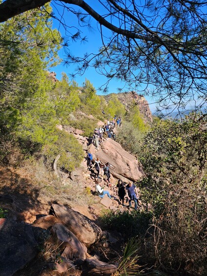 Picture 6 for Activity From Valencia: El Garbi and La Mola hiking trip