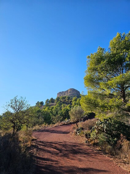 From Valencia: El Garbi and La Mola hiking trip