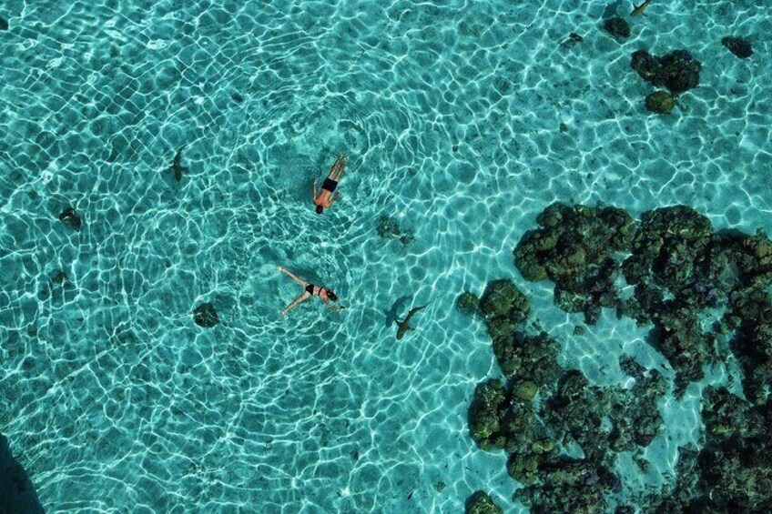 Magic Snorkeling