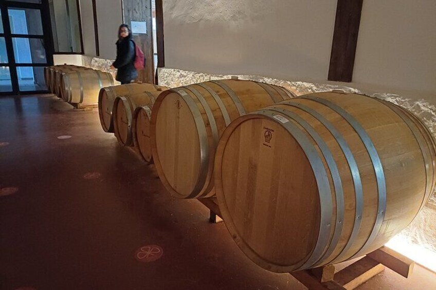 Vineyard Tour with Local Wine Tasting & Appetizer from Valencia