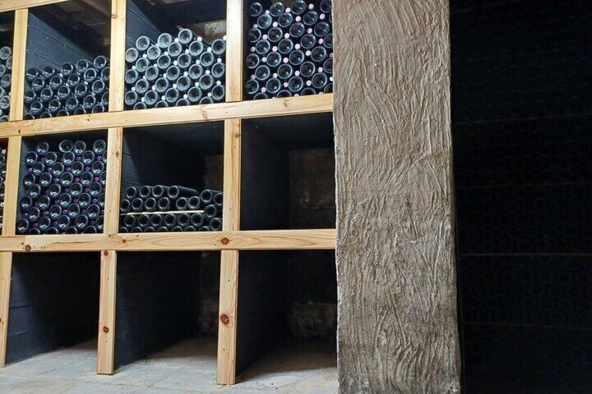 Vineyard Tour with Local Wine Tasting & Appetizer from Valencia