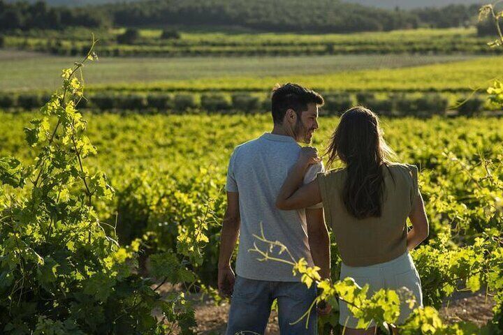 Vineyard Tour with Wine Tasting, Cava, and Aperitif from Valencia