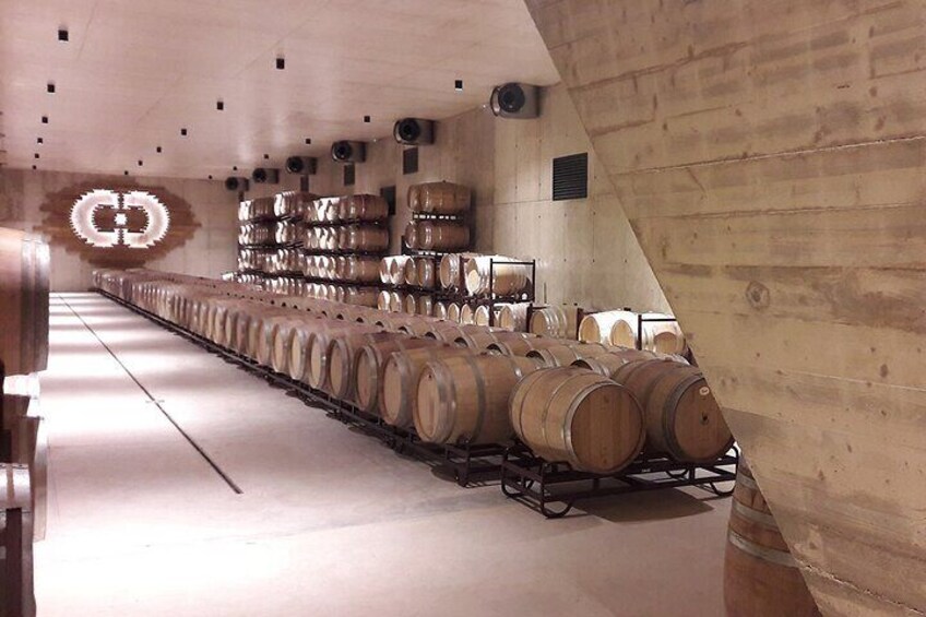 Vineyard Tour with Local Wine Tasting & Appetizer from Valencia