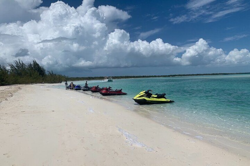 Iguana island