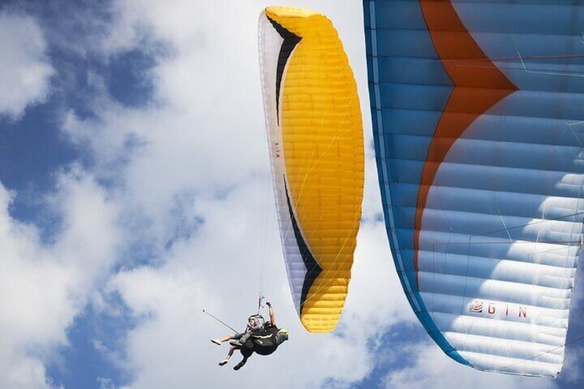 flying with friends 