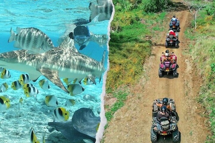 Full Day Combo Snorkelling with Buffet and Bora Bora quad bike Tour