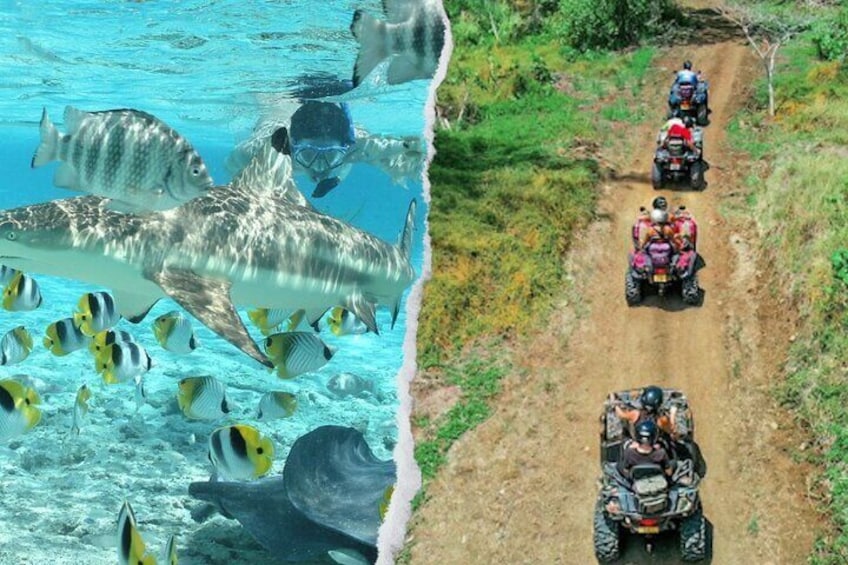 COMBO SNORKELING + ATV