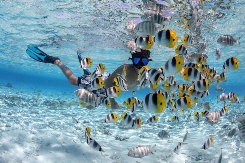 Full Day Combo Snorkeling with Buffet and Bora Bora ATV Tour