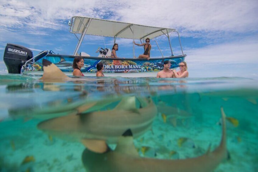 Full Day Combo Snorkeling with Buffet and Bora Bora ATV Tour