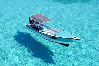 Johnny Kay and Aquarium Private Boat by the Sea of 7 Colours