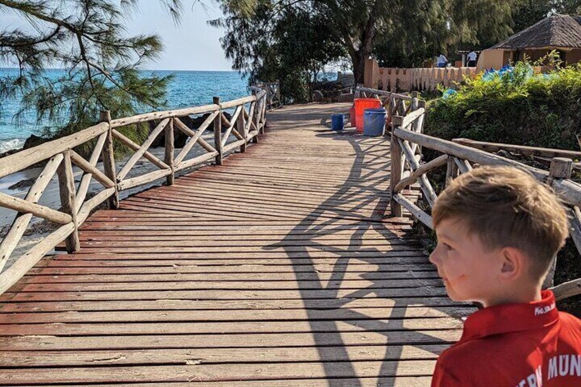Half day to Stone Town City & Prison Island in Zanzibar