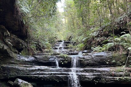 Blue Mountains Private Tour