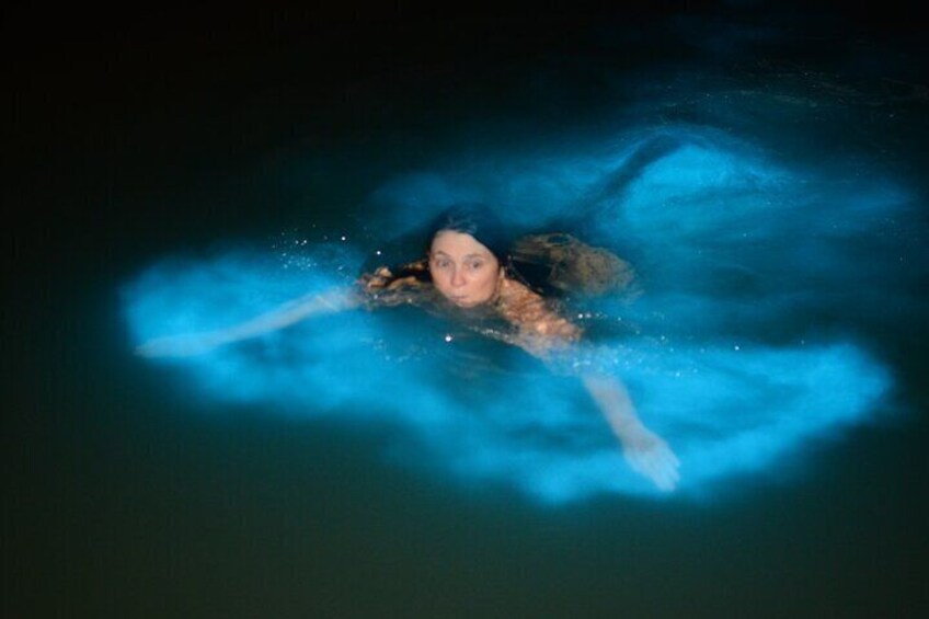 Luminous Lagoon Activity