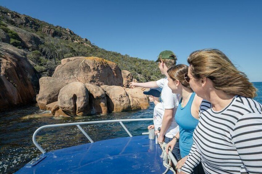 Schouten Island, Freycinet National Park - Half Day Tour