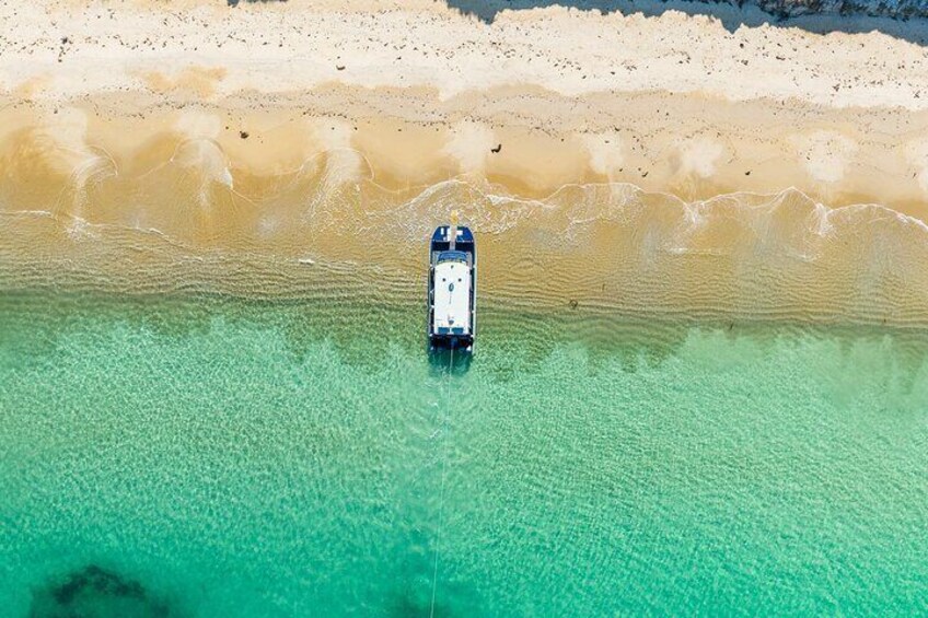 Schouten Island, Freycinet National Park - Half Day Tour