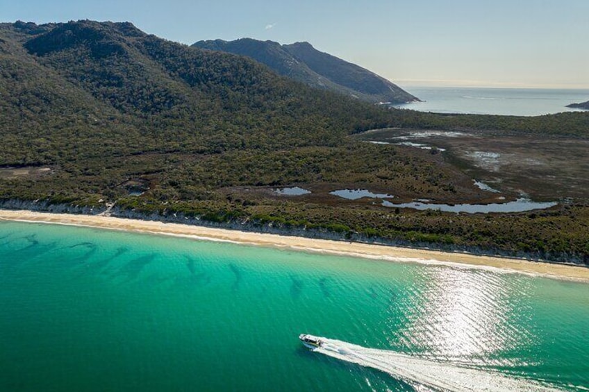 Wineglass Bay Shared Cruise and Walking Tour