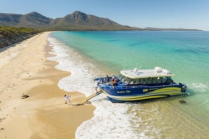 Wineglass Bay Shared Cruise and Walking Tour