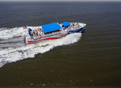 Myrtle Beach: Dolphin Cruise on the Sea Thunder