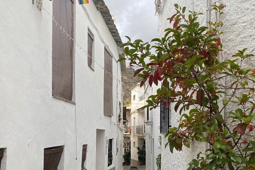 Private Alpujarras Tour from Motril Puerto