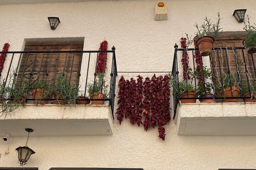Private Alpujarras Tour from Motril Puerto