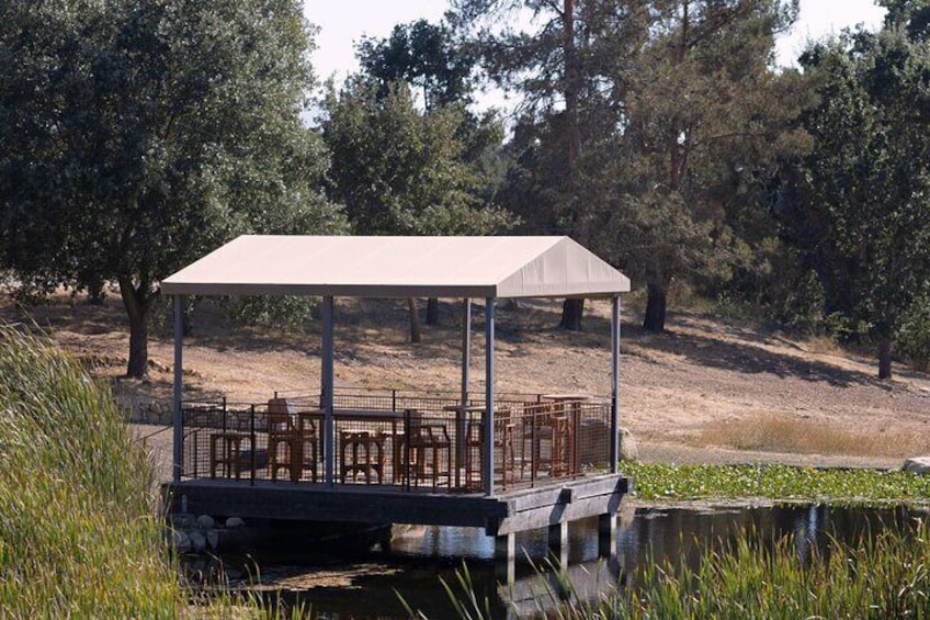 A serene spot for wine tasting, surrounded by nature's tranquility.