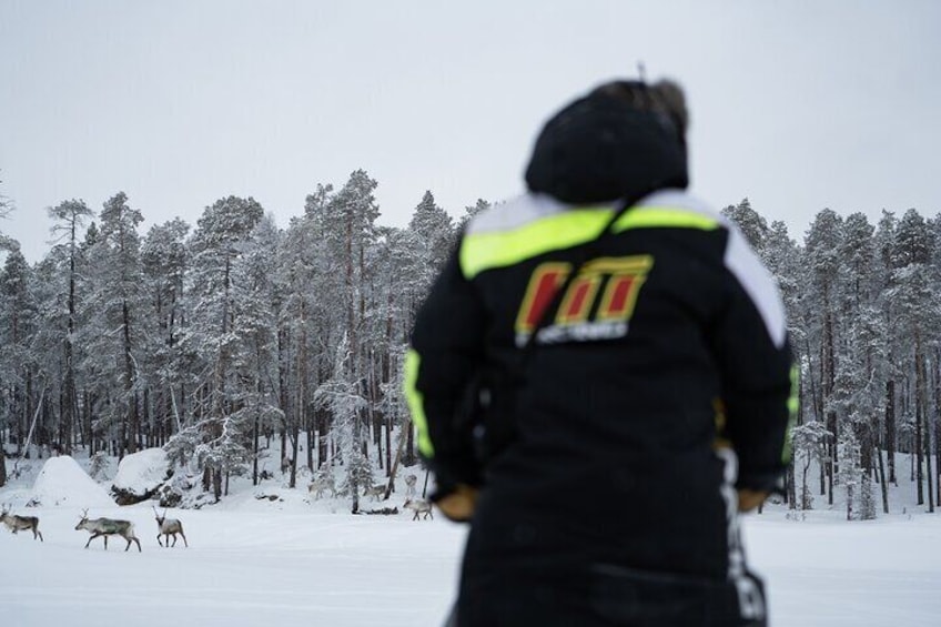 A Day in the Life of Reindeer Herders