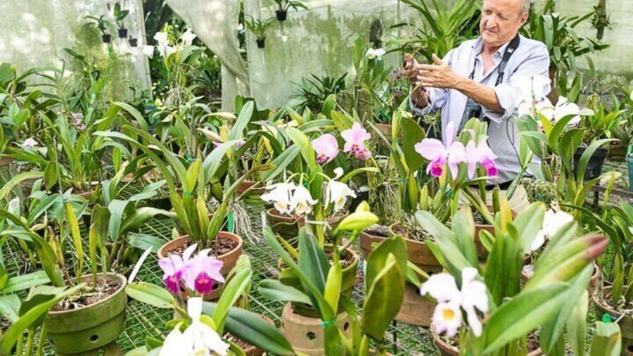 Finca la Romelia Orchids and Birding