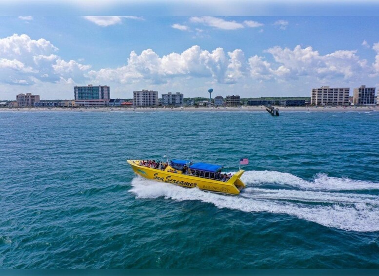 Picture 4 for Activity Myrtle Beach: Dolphin Cruise on the Sea Screamer