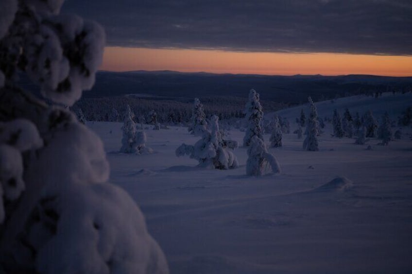 Wilderness Adventure by Snowmobile Sleigh