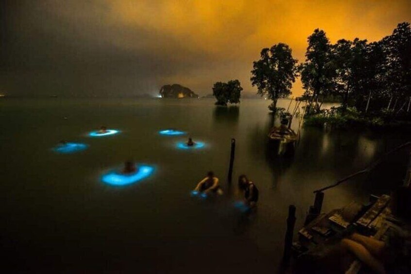 Small Group Bioluminescent & Sea Canoes to Phang Nga Bay & Buffet