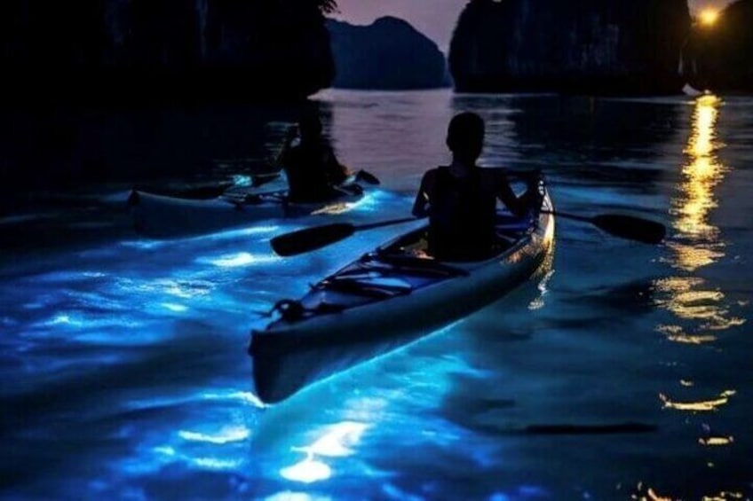 Small Group Bioluminescent & Sea Canoes to Phang Nga Bay & Buffet